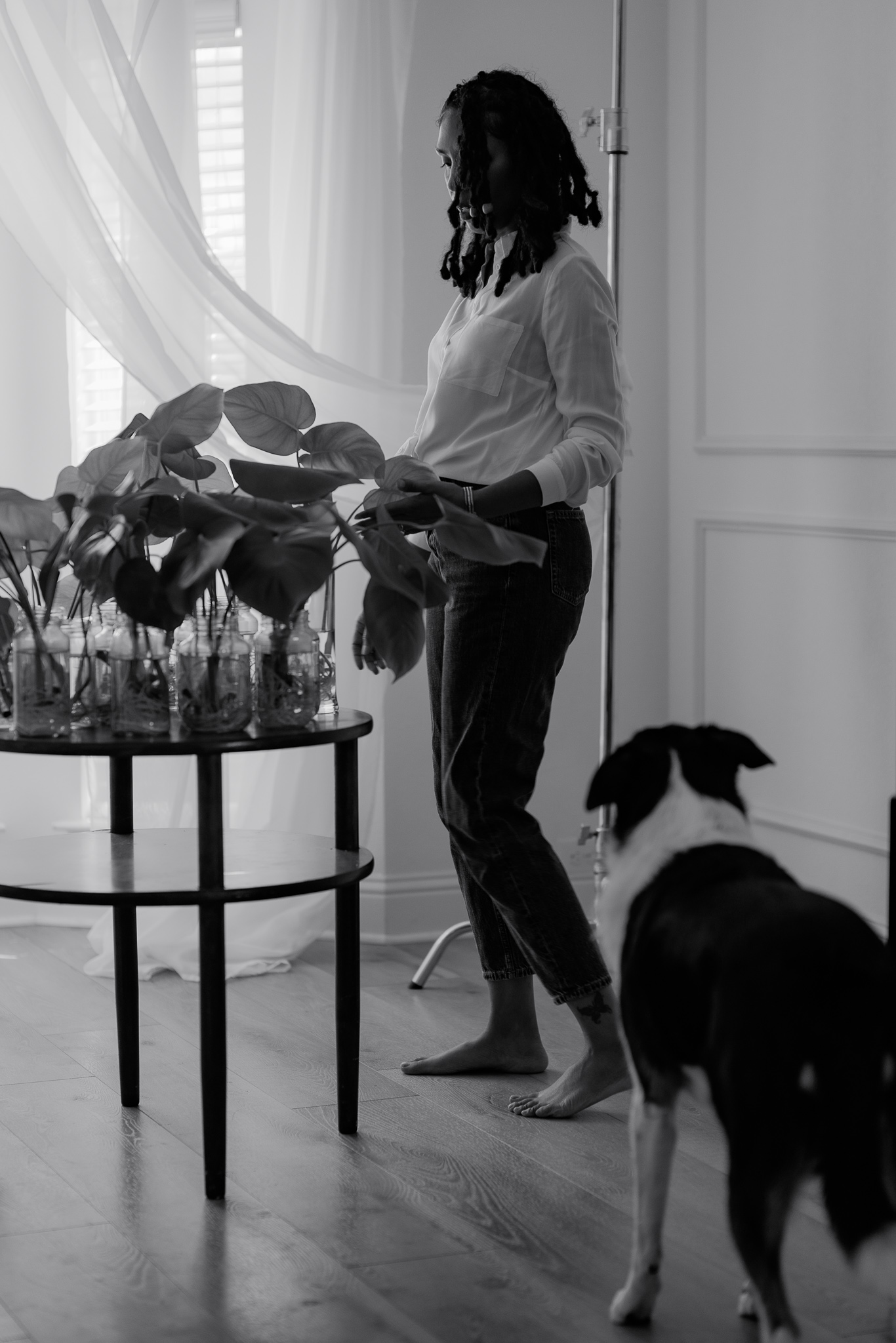A woman standing near a table with monstera houseplant propagations, gently touching the leaves, with a dog looking on in a light and airy black-and-white photo, illustrating the idea of how long it takes for a website to show on google.